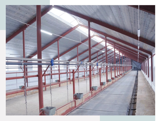 Строительство коровников в Новоалтайске от 613 руб.