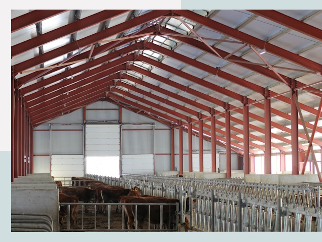 Строительство коровников в Новоалтайске