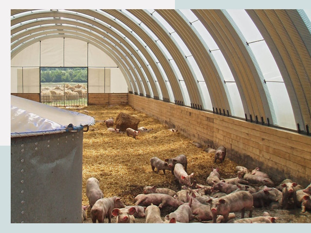 Строительство свинарников в Новоалтайске