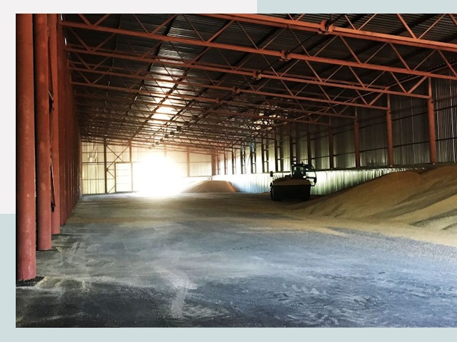 Строительство зернохранилищ в Новоалтайске