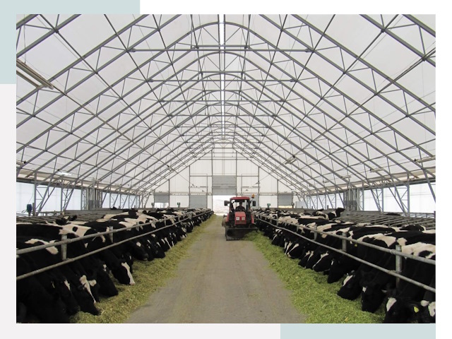 Тентовые коровники в Новоалтайске от 613 руб. - Надежно и доступно